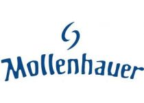 Mollenhauer