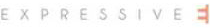 EXPRESSIVE E